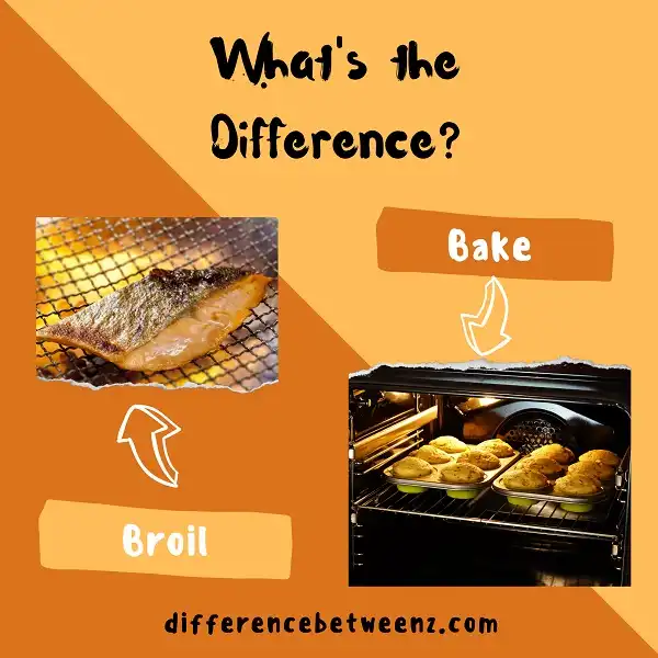 Difference between Broil and Bake