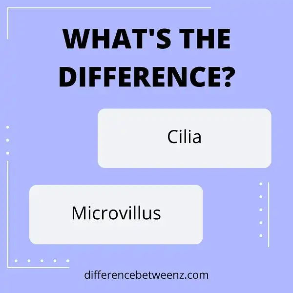 Difference between Cilia and Microvillus