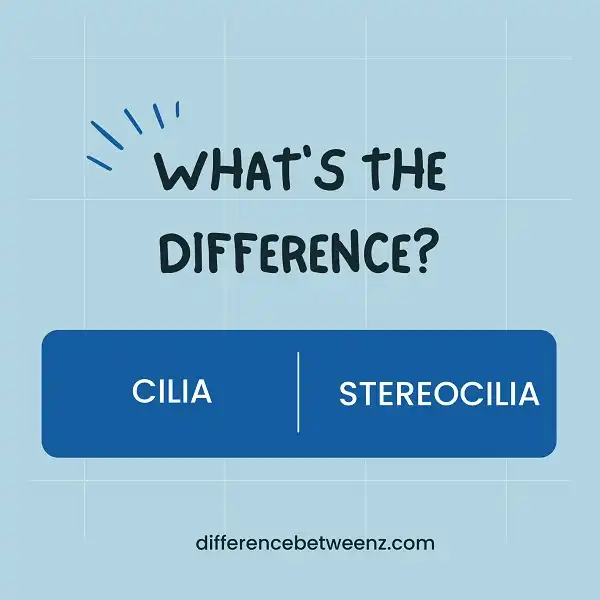 Difference between Cilia and Stereocilia