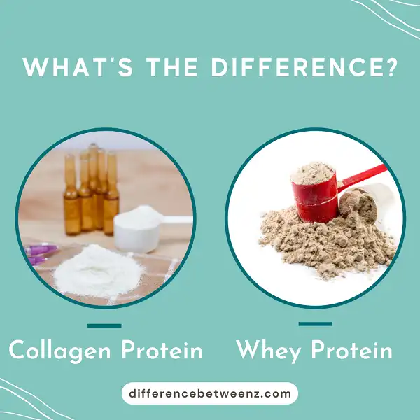 Difference between Collagen Protein and Whey Protein