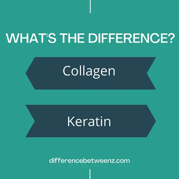 Difference between Collagen and Keratin