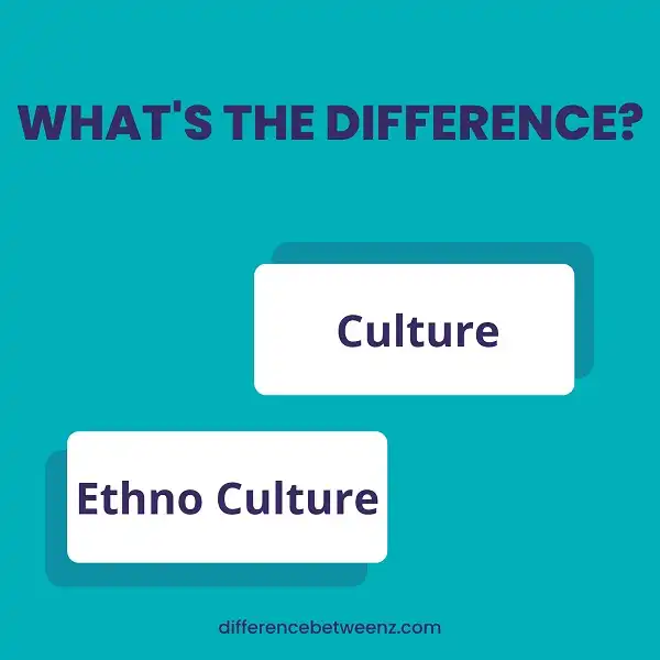 Difference between Culture and Ethno Culture