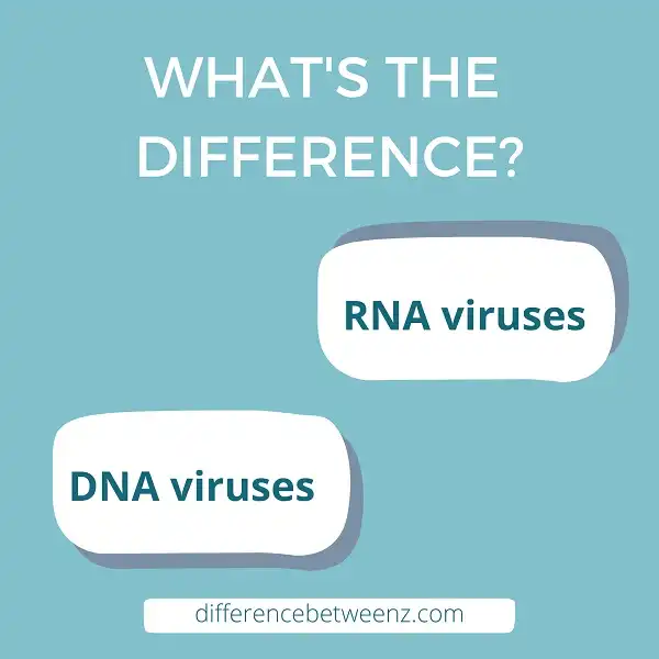 Difference between DNA and RNA viruses
