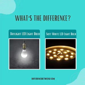 Difference between Daylight and Soft White LED Bulbs
