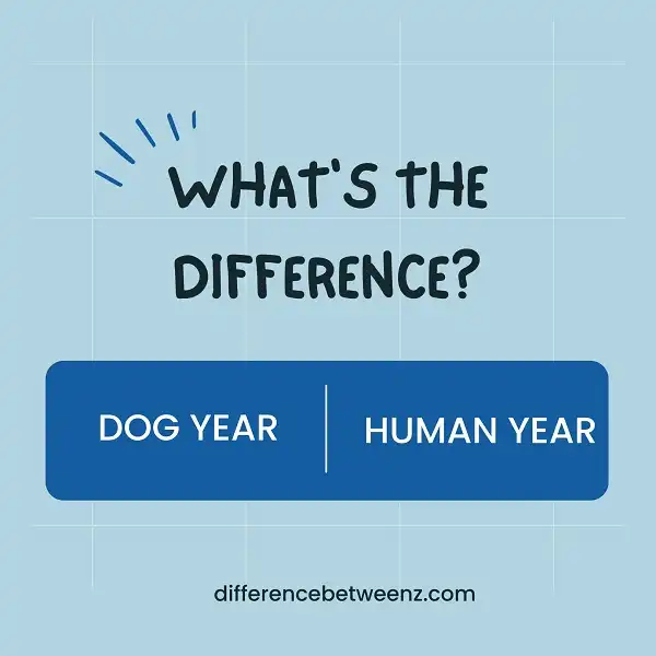 Difference between Dog Years and Human Years