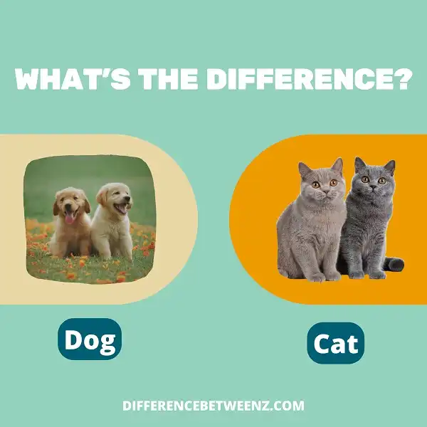 Difference between Dog and Cat