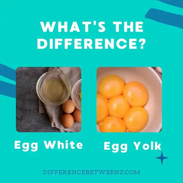 Difference between Egg White and Yolk