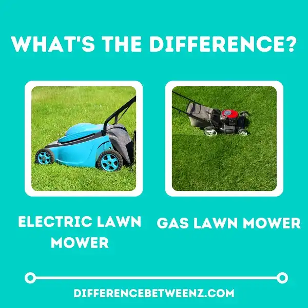 Difference between Electric and Gas Lawn Mowers