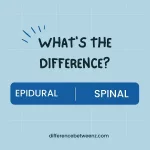 Difference between Epidural and Spinal