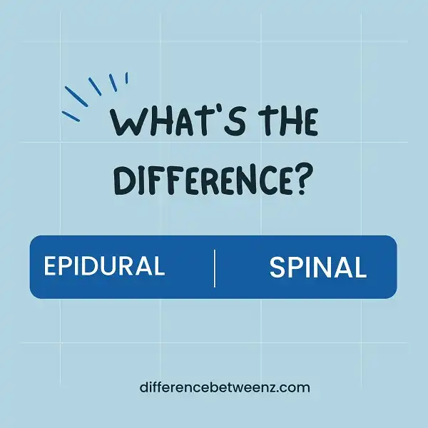 Difference between Epidural and Spinal