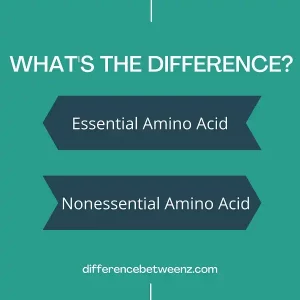 Difference between Essential and Nonessential Amino Acid