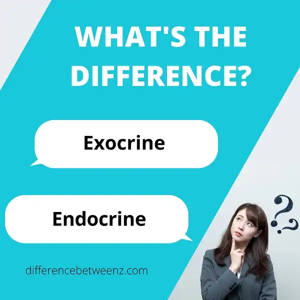 Difference between Exocrine and Endocrine