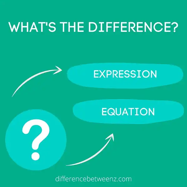 Difference between Expression and Equation