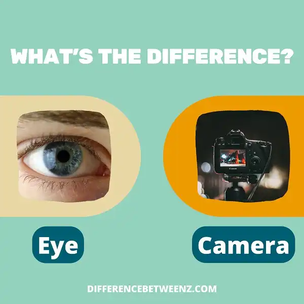 Difference between Eye and Camera