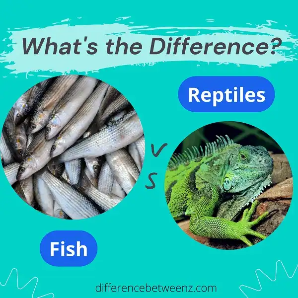 Difference between Fish and Reptiles