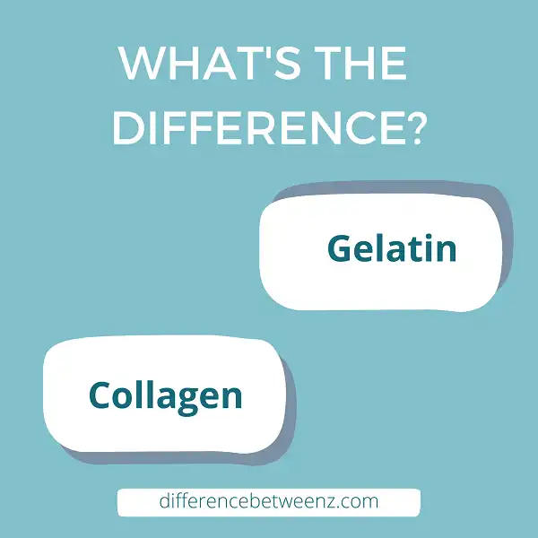 Difference between Gelatin and Collagen