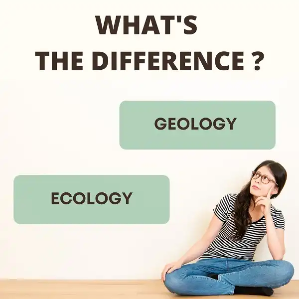 Difference between Geology and Ecology