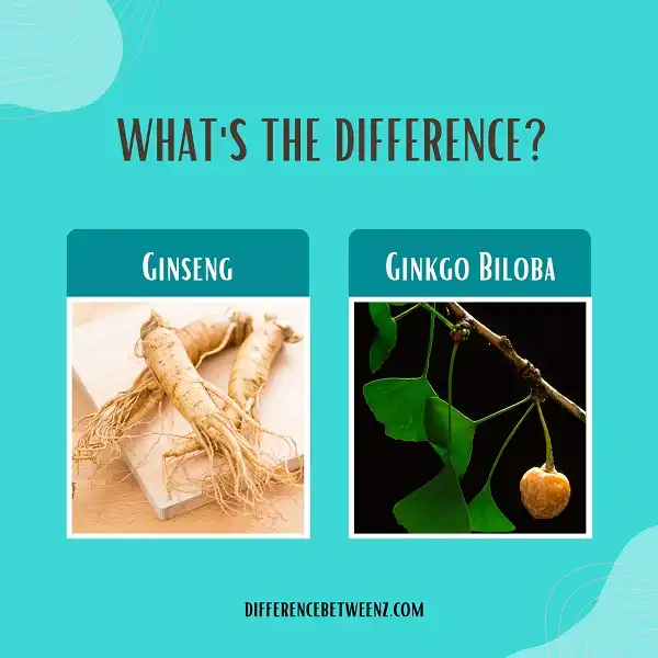 Difference between Ginseng and Ginkgo Biloba