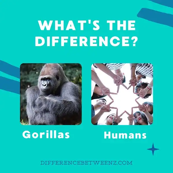 Difference between Gorillas and Humans