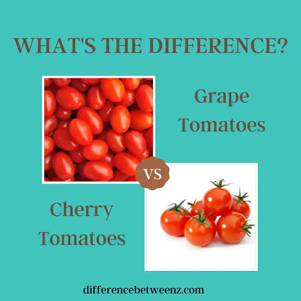 Difference between Grape Tomatoes and Cherry Tomatoes