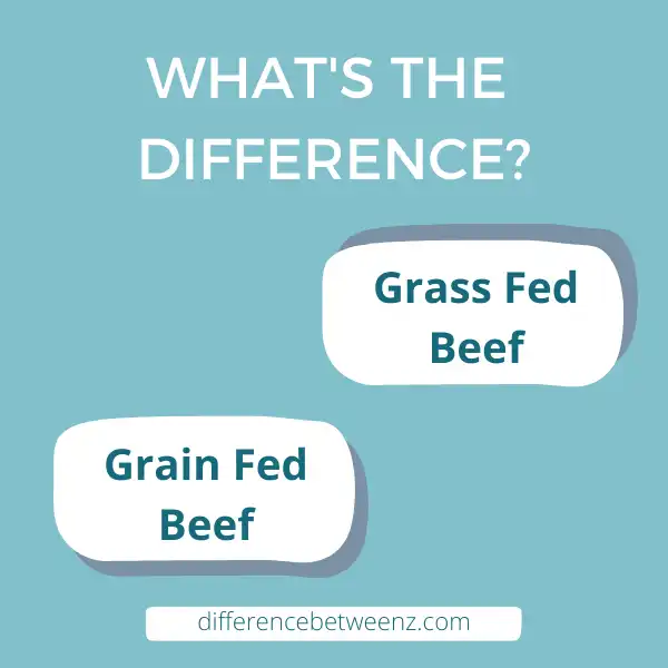 Difference between Grass Fed Beef and Grain Fed Beef