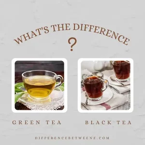 Difference between Green Tea and Black Tea