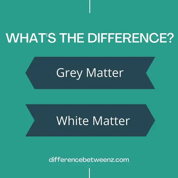 Difference between Grey and White Matter