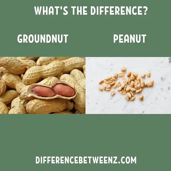 Difference between Groundnut and Peanut