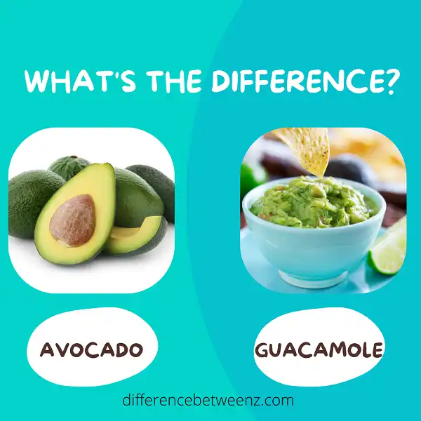 Difference between Guacamole and Avocado