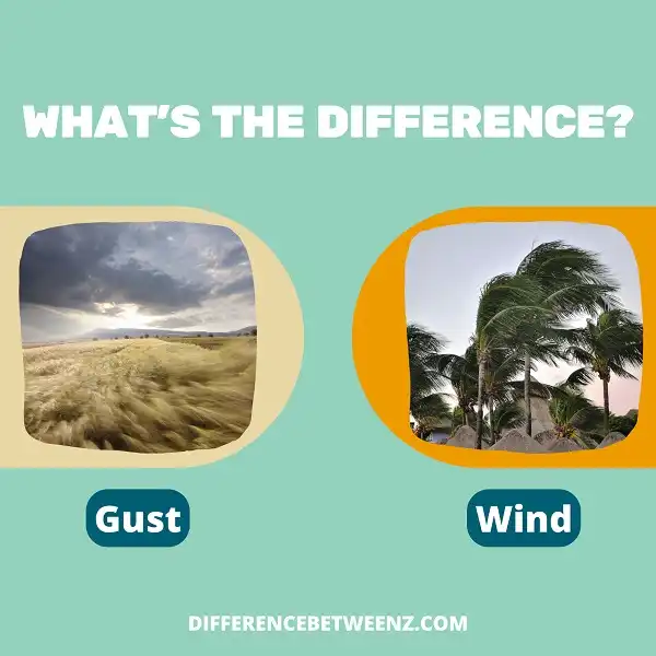 Difference between Gust and Wind