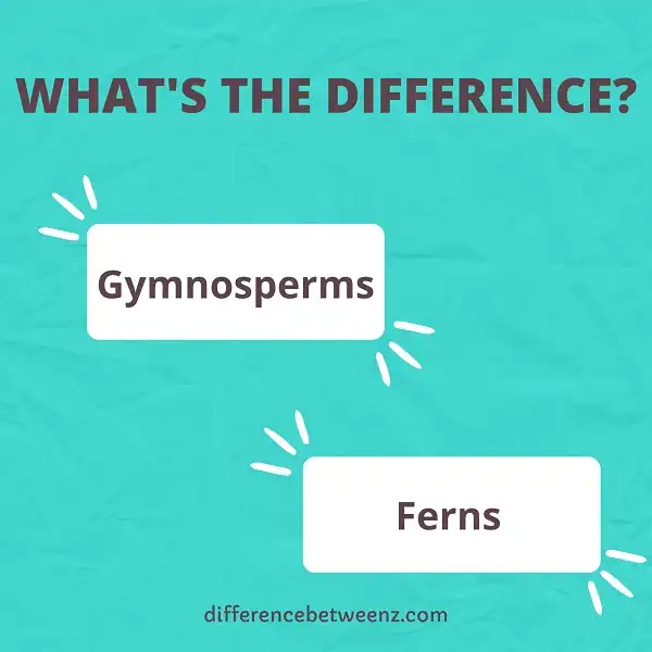 Difference between Gymnosperms and Ferns