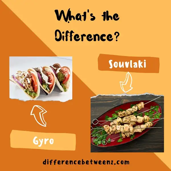 Difference between Gyro and Souvlaki