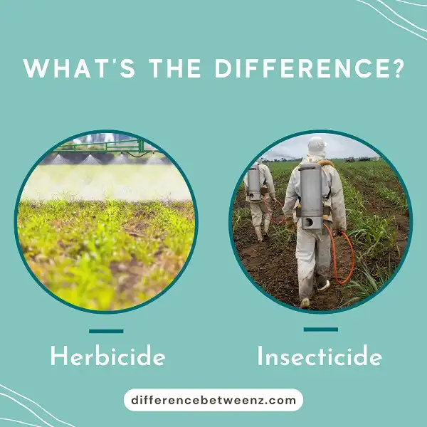 Difference between Herbicide and Insecticide