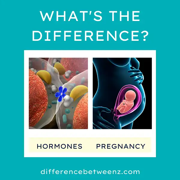 Difference between Hormones and Pregnancy