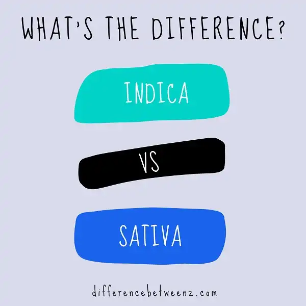 Difference between Indica and Sativa