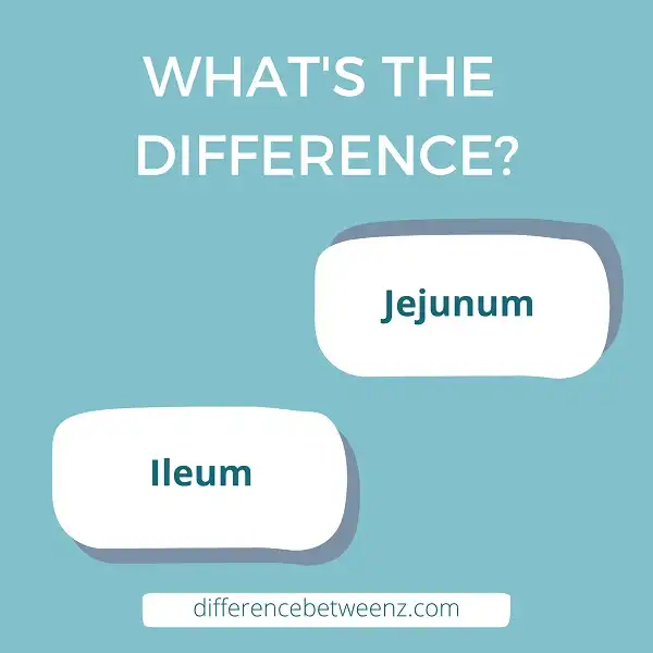Difference between Jejunum and Ileum