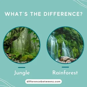 Difference between Jungle and Rainforest