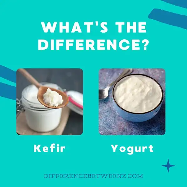 Difference between Kefir and Yogurt