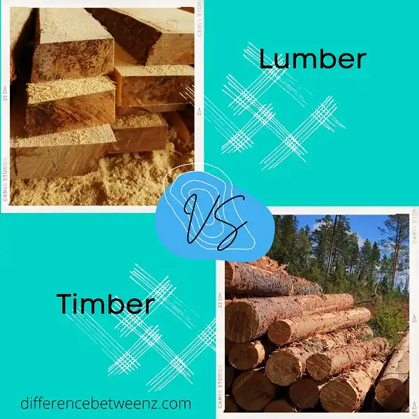 Difference between Lumber and Timber