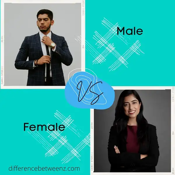 Difference between Male and Female