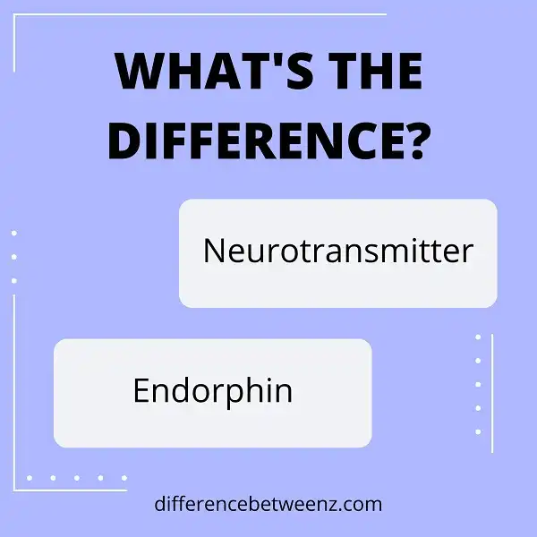 Difference between Neurotransmitter and Endorphin