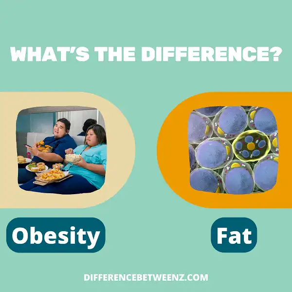 Difference between Obesity and Fat