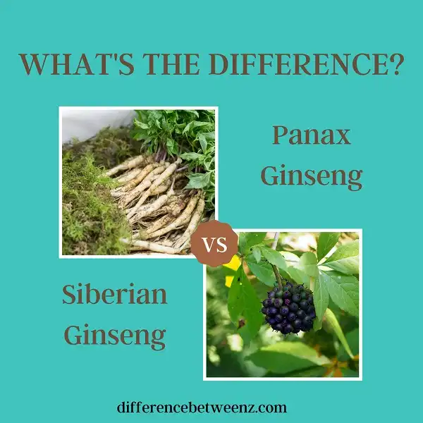 Difference between Panax Ginseng and Siberian Ginseng