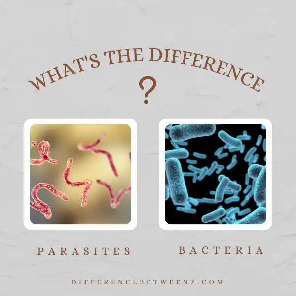 Difference between Parasites and Bacteria