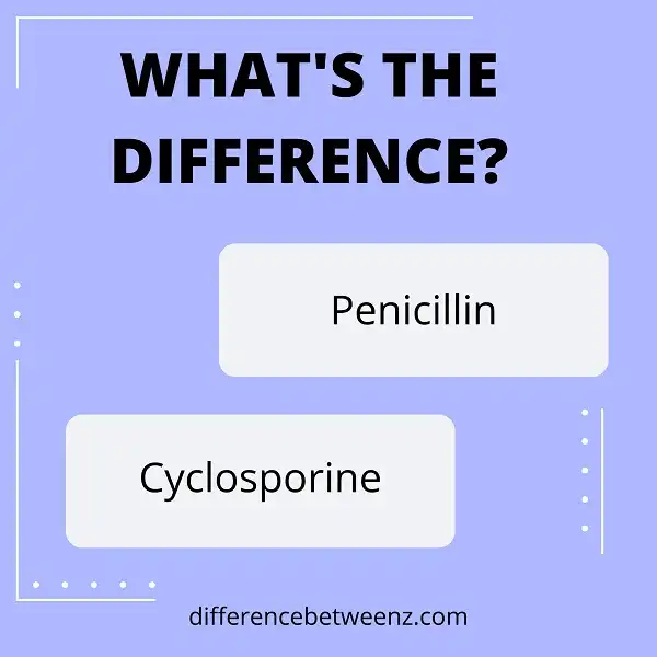 Difference between Penicillin and Cyclosporine