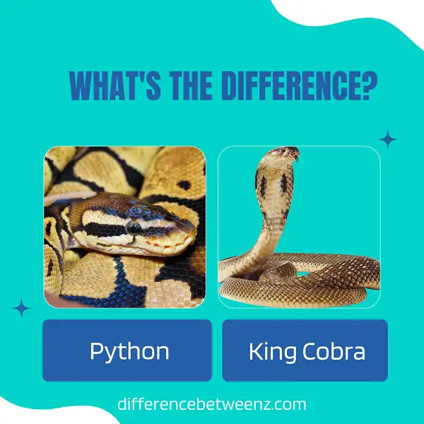 Difference between Python and King Cobra