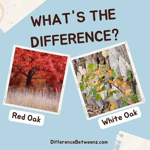 Difference between Red Oak and White Oak
