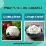 Difference between Ricotta and Cottage Cheese
