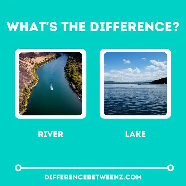 Difference between River and Lake