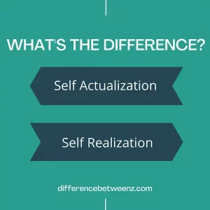 Difference between Self Actualization and Self Realization